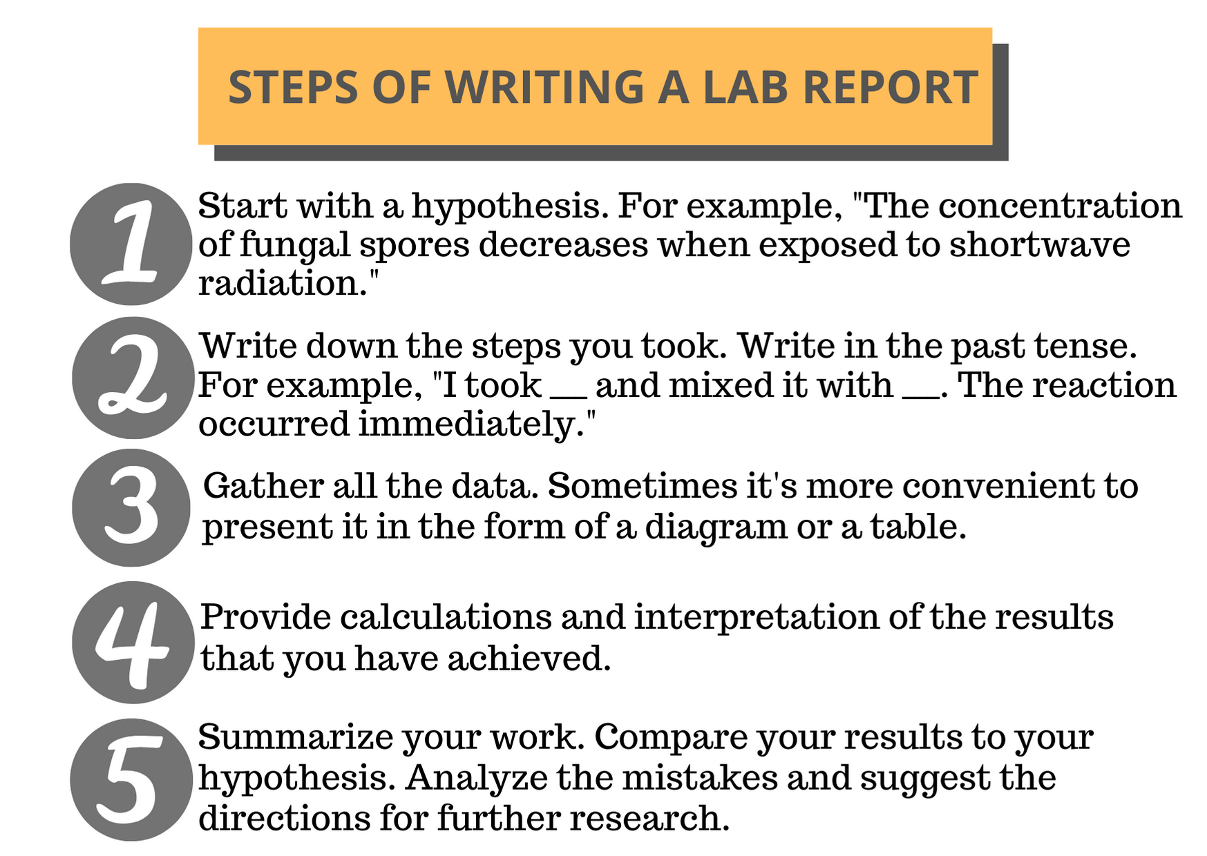 Lab Report